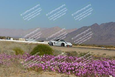 media/Jan-29-2023-PCA San Diego (Sun) [[aa0301ccc2]]/Yellow Group/Session 1 (Turn 15 Bloom)/